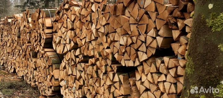 Дрова не гнелые