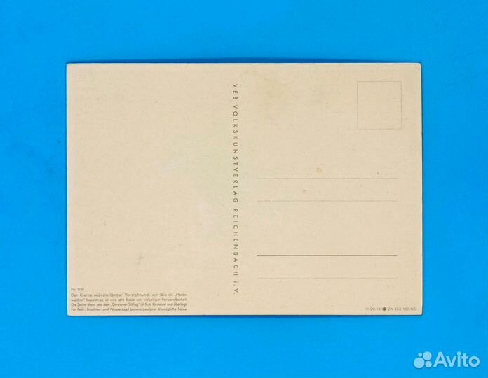 Открытка Коллекционная Собака ГДР