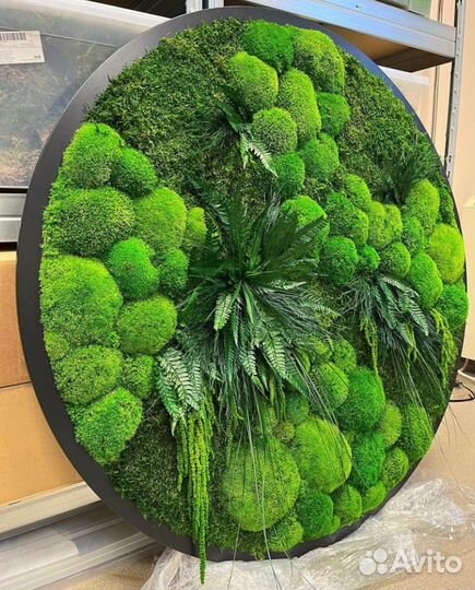 Картина из мха круглая