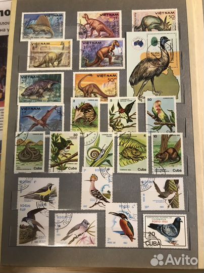 Альбом с марками растения животные