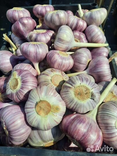 Доставка продуктов питания