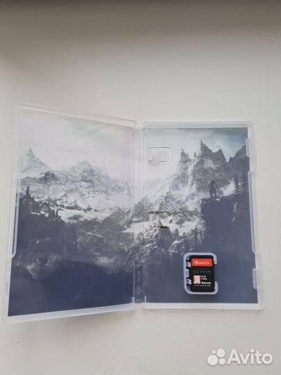 The Elder Scrolls V: Skyrim Switch