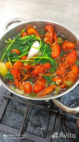 Живые раки
