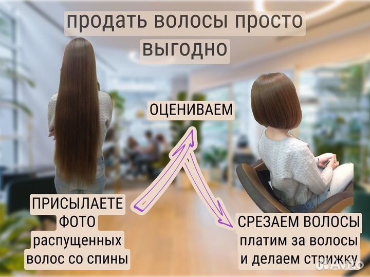 Покупаем волосы. Продать волосы