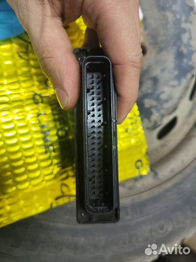 Эбу Suzuki sv1000