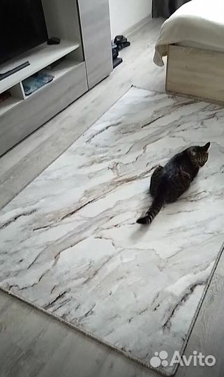 Ковер 2х3 новый