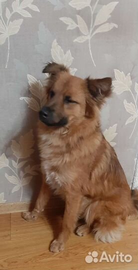 Мальчик.В очень добрые ручки