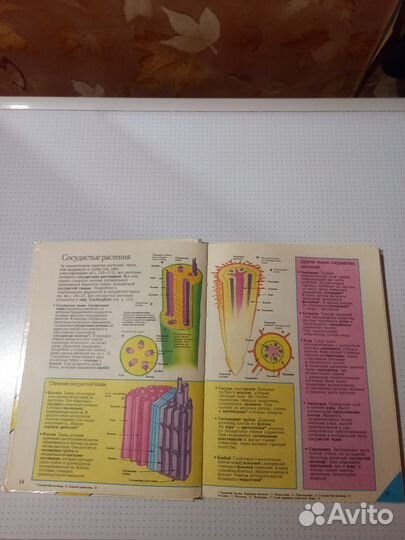 Биология Росмэн 1995 год