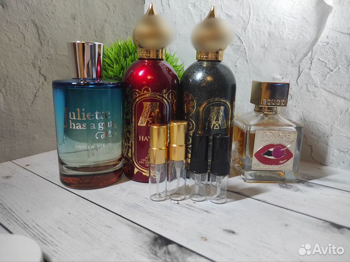 Annabella, Hayati, Vanilla Vibes, Drunk Cherry