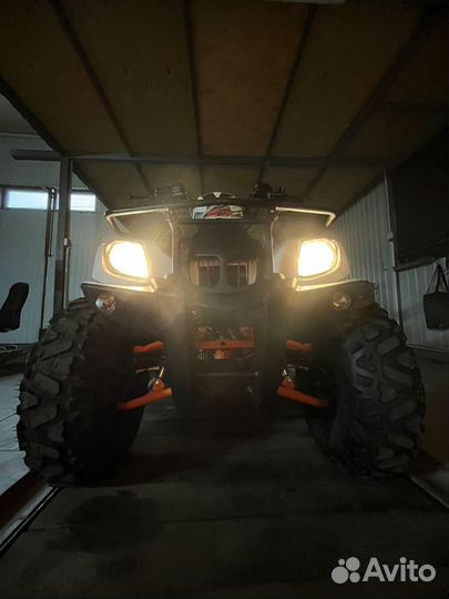 Kayo Bull 200