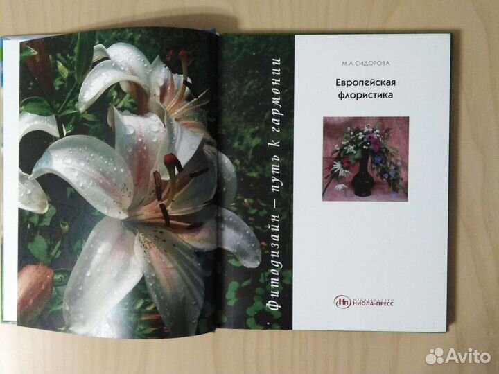 Европейская флористика. М. А. Сидорова. Фитодизайн