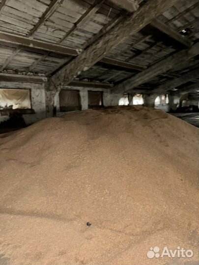 Продам пшеницу ячмень