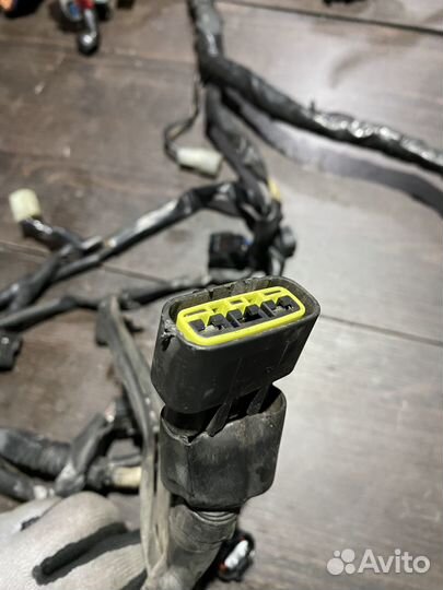 Проводка для Yamaha MT-01 05-06