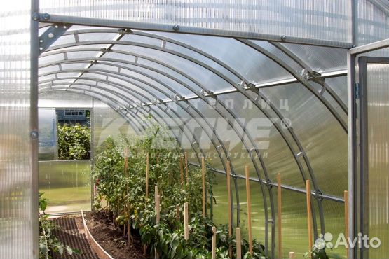 Теплица Люкс 3х10