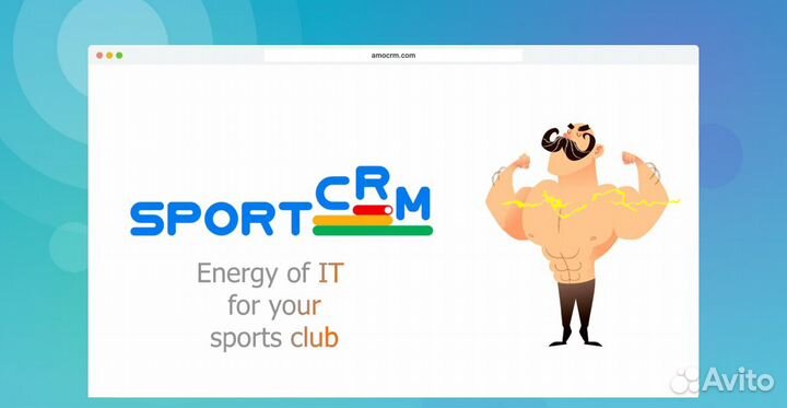 Внедрение Системы управления спортивными клубами