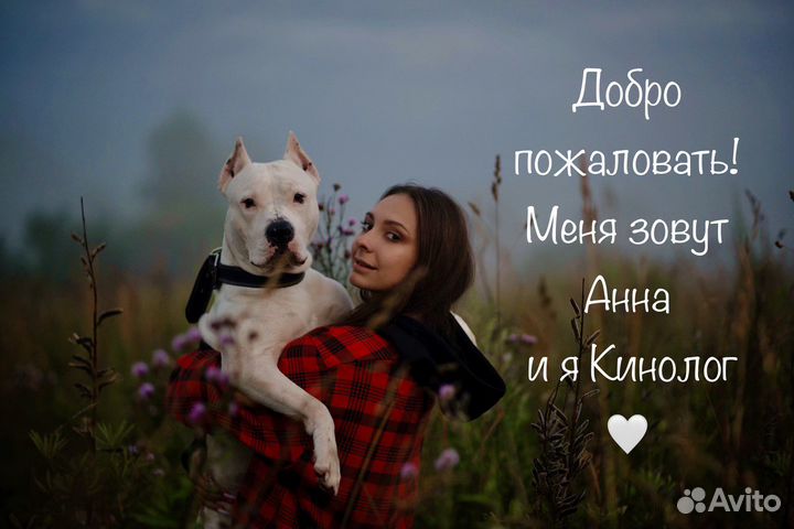 Услуги кинолога
