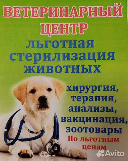 Льготная стерилизация(кастрация) кошек/собак