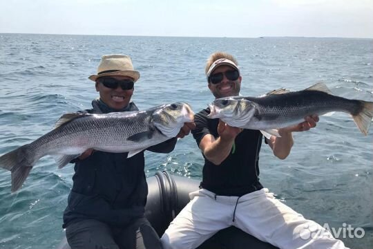 Аренда удочек и спиннингов для рыбалки