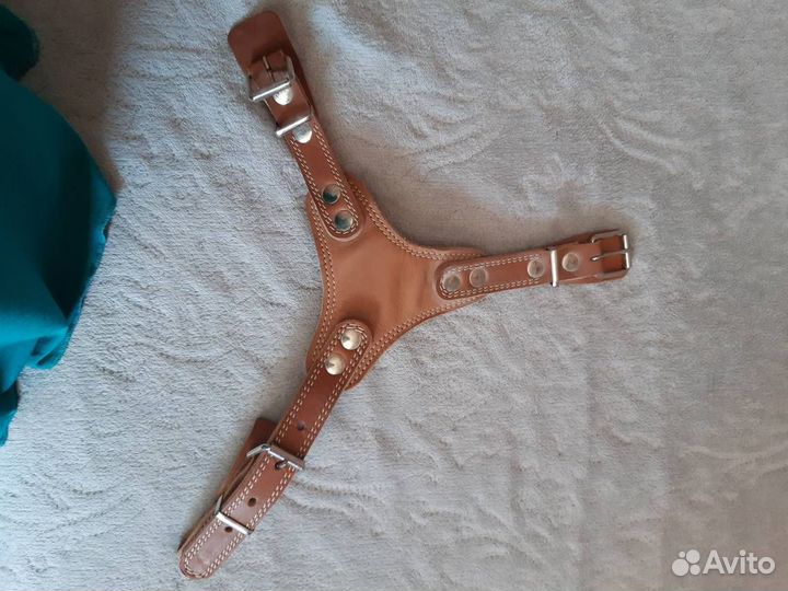 Упряжка для собаки