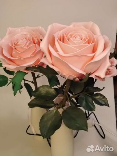 Светильник ночник