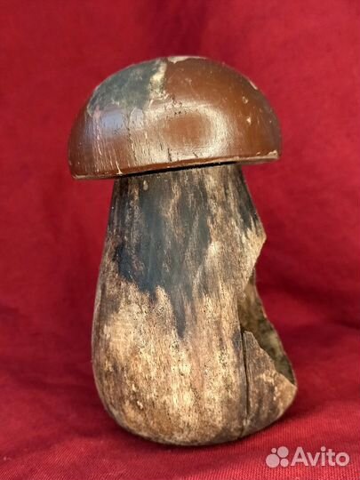 Старинный гриб орехокол