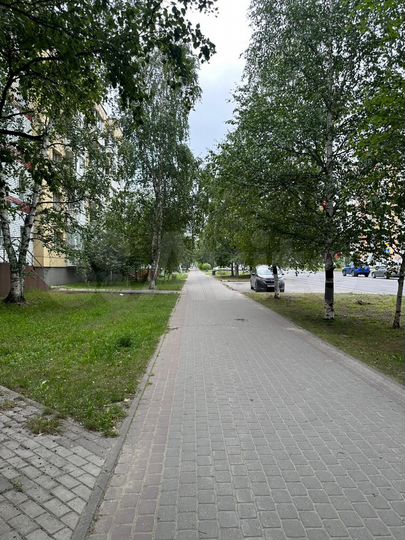 Общепит, 131.9 м²