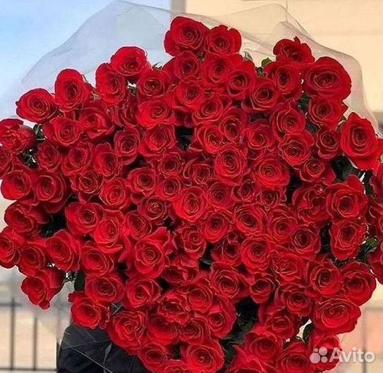 Розы Букеты Цветы Розы 31 101 151 201 Доставка