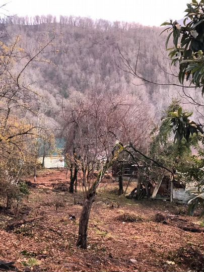 Участок 32,1 сот. (СНТ, ДНП)