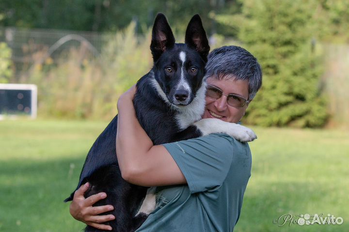 Услуги кинолога с выездом / Дрессировка собак