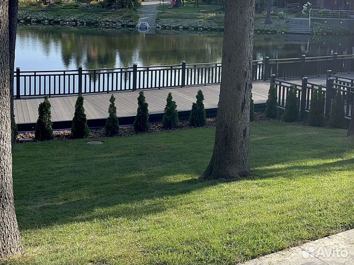 Газонc крепким дёрном