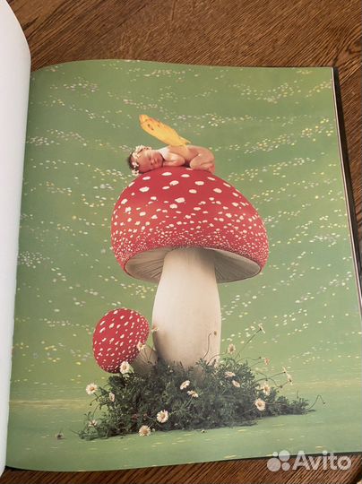 Книга Энн Геддс с автографом автора