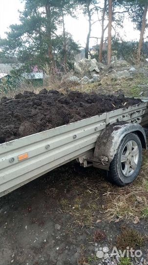 Навоз перегной отличный