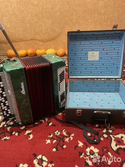 Баян Донбасс