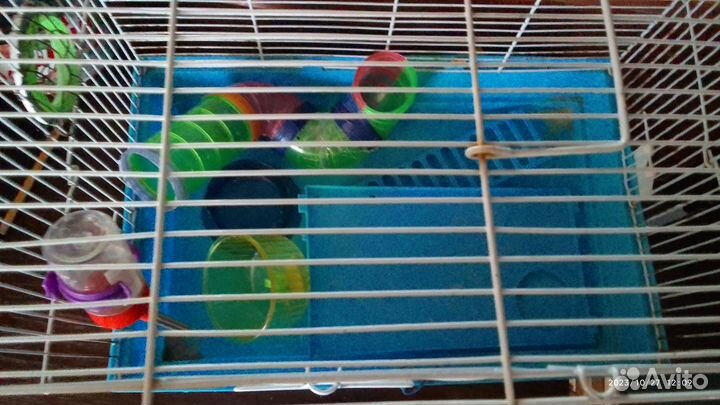 Клетка для грызунов бесплатно