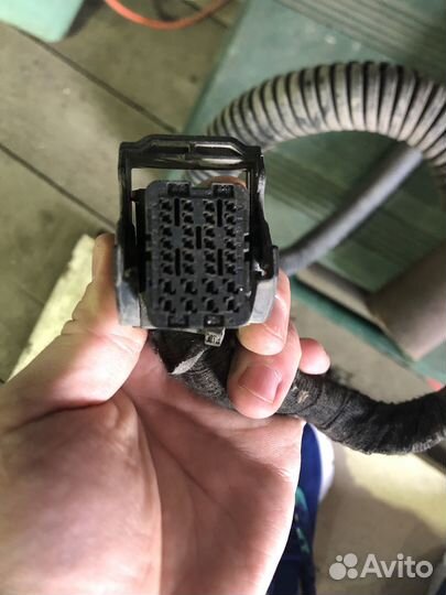 Кнопка и коса Гбо