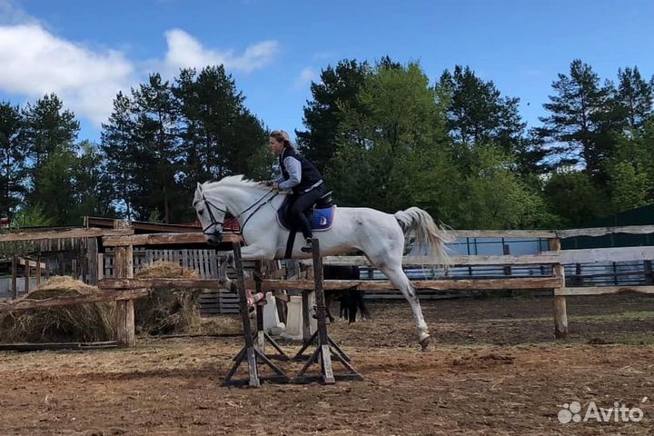 Верховая езда