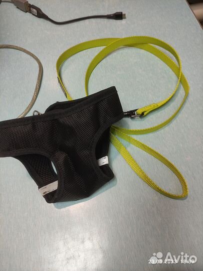 Шлейка с поводком