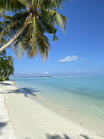 Туры на Мальдивы, отдых в райском месте