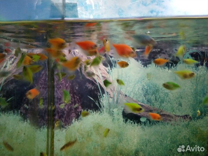 Карамельки