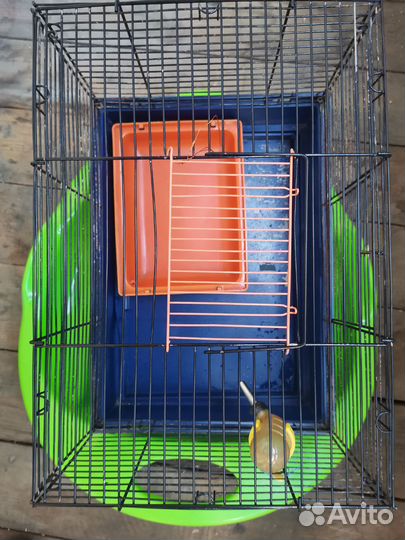 Клетка для грызунов бу