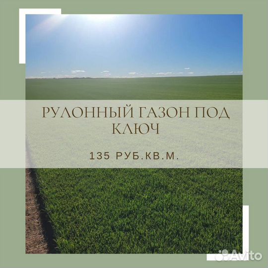 Рулонный газон с укладкой