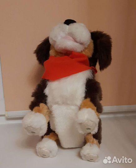 Интерактивная собака