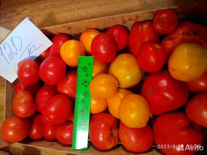 Помидоры, яблоки, тыквы