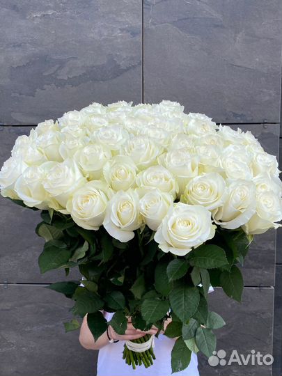 Букеты из 101 розы 51шт 25шт 35шт розы доставка