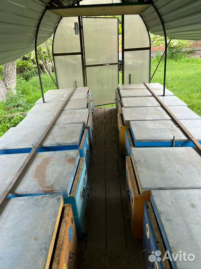 Прицеп для перевозки пчел