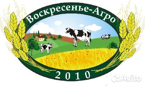 Водитель категории В