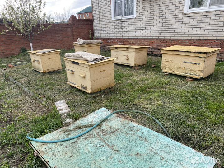 Продаю улья