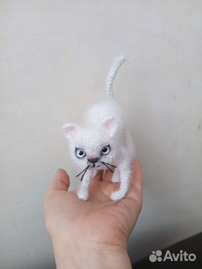 Кошки и собаки