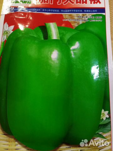 Рассада перца