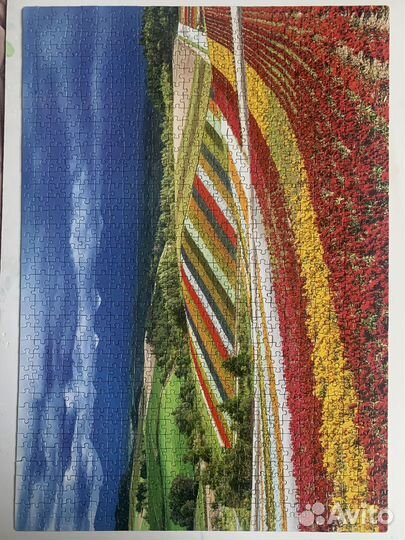 Пазлы 1000 деталей